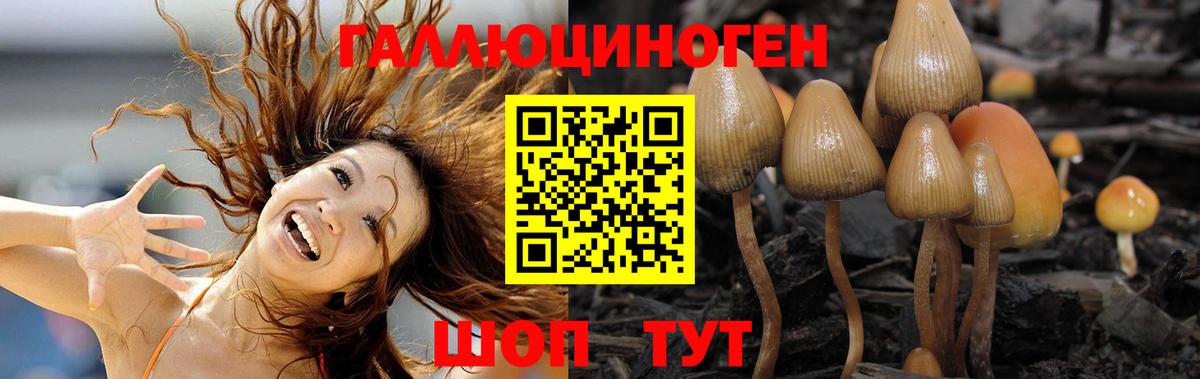 Псилоцибиновые грибы ЛСД Муром